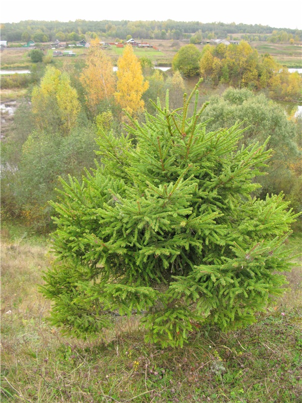 Тверской Водопад — Туризм и путешествия: фотоотчеты из поездок