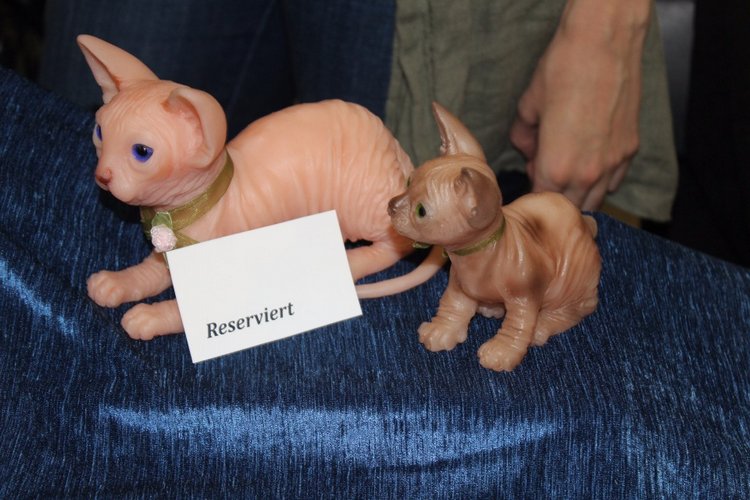 Выставка мишек, кукол и кукольной миниатюры в Голландии 2017 - часть пятая