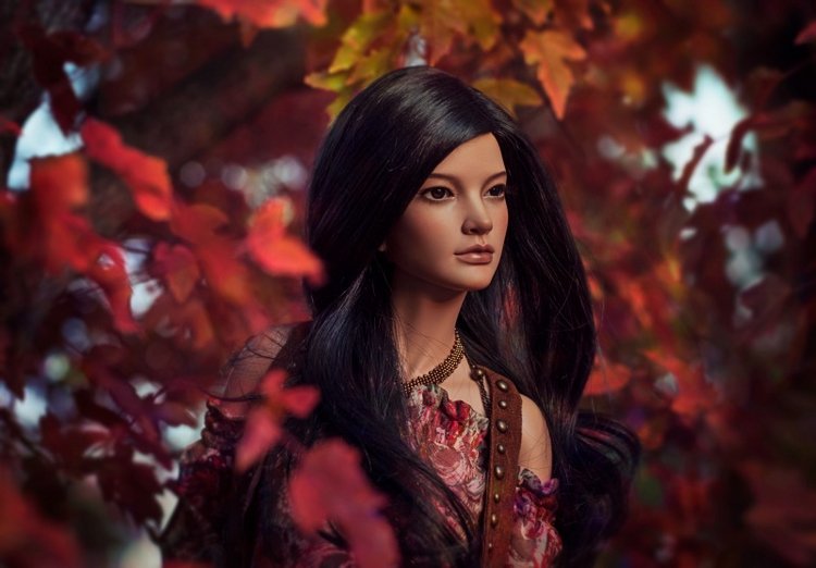 Душа Осени | Бэйбики Душа Осени — Куклы Iplehouse (Иплхаус): BJD (БЖД) (фото 9)