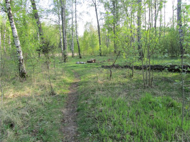 Весенний день... или как девочки ходили на пикник.№2 (фото 3)