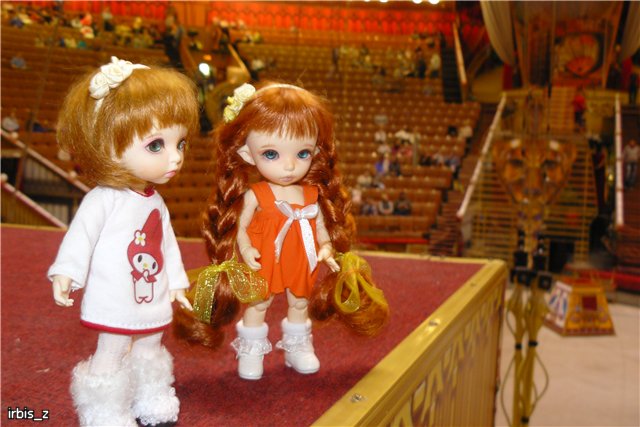 Вот так чудеса или как Ариэль в Большой Московский Цирк ходила. PukiFee Ante Ариэтти, PukiFee Bonnie Ариэль