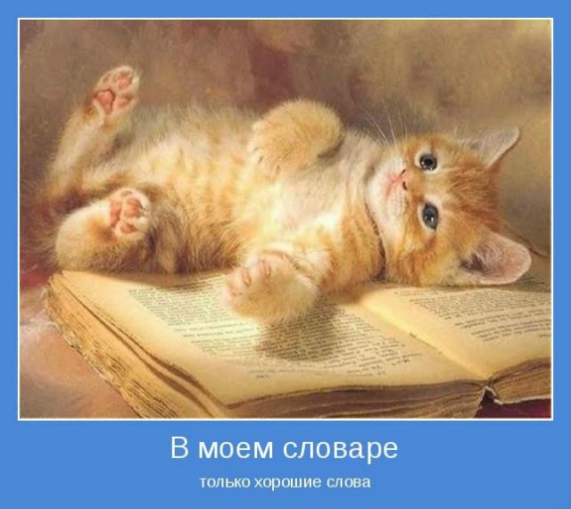 Как прекрасен этот мир, посмотри... "Хороший фотограф тот, кто сумеет выстроить на одной оси глаз, голову и сердце"