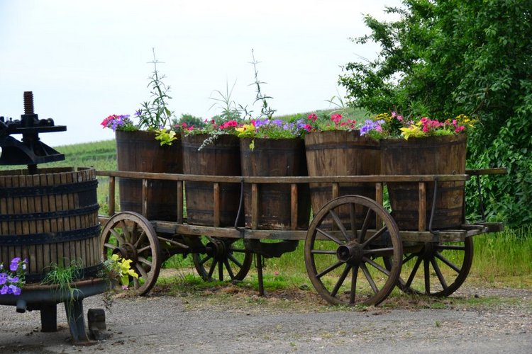 Очарование стринных французских городов