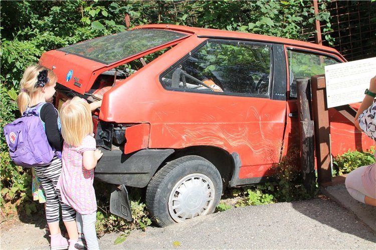 Командировка в Данию фейсинки (Galoob Baby Face doll) 2