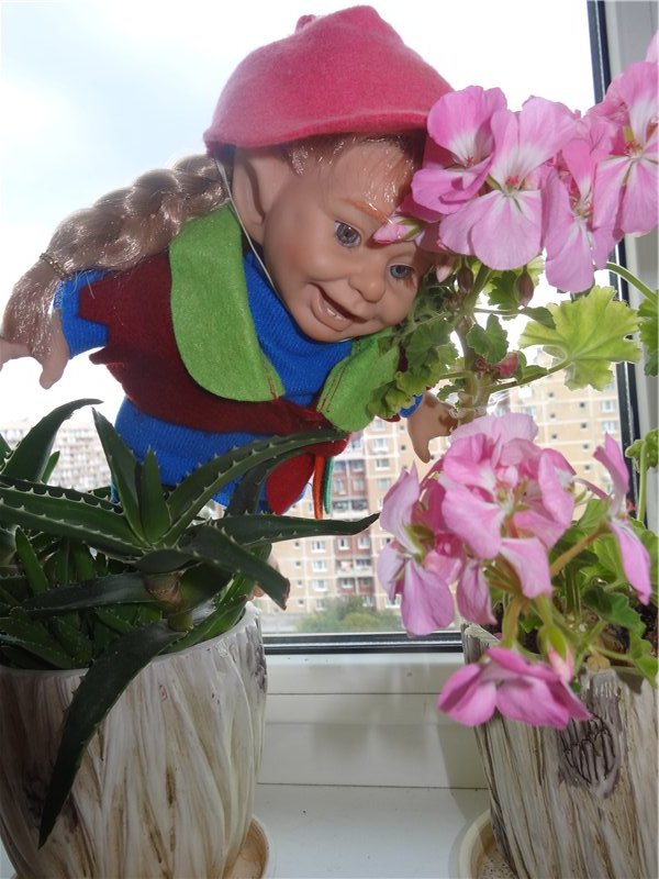 Куколки красавицы. Коллекция кукол (фото 5)