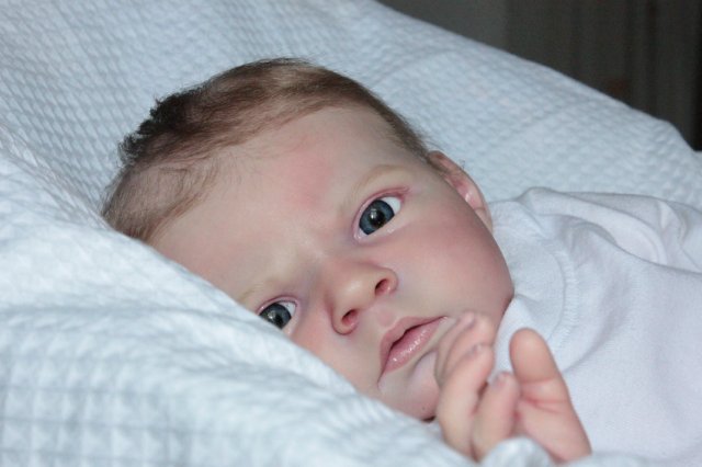 Кто сказал что Я последняя? Кукла реборн Беспаловои Жанны (фото 6)