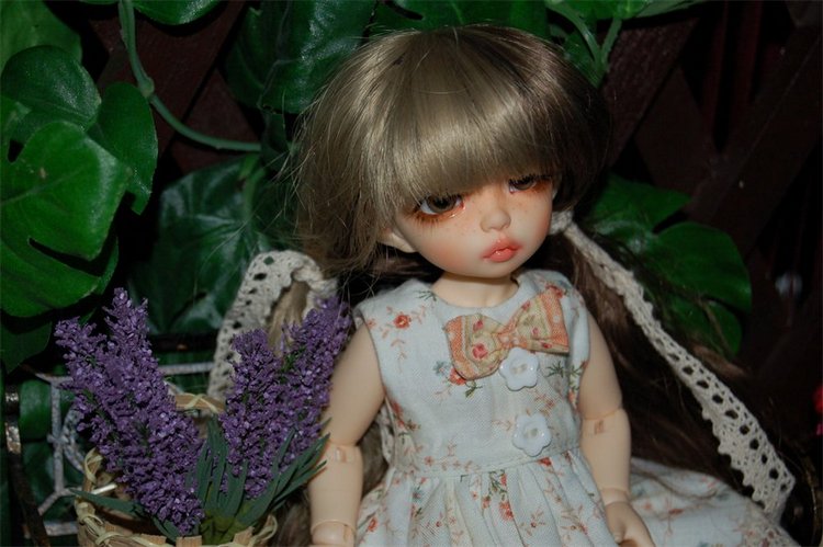 Новый наряд под новое личико. Fairland, Ante