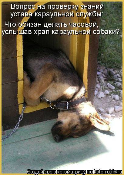 Понедельник - день тяжёлый | Бэйбики Понедельник - день тяжёлый