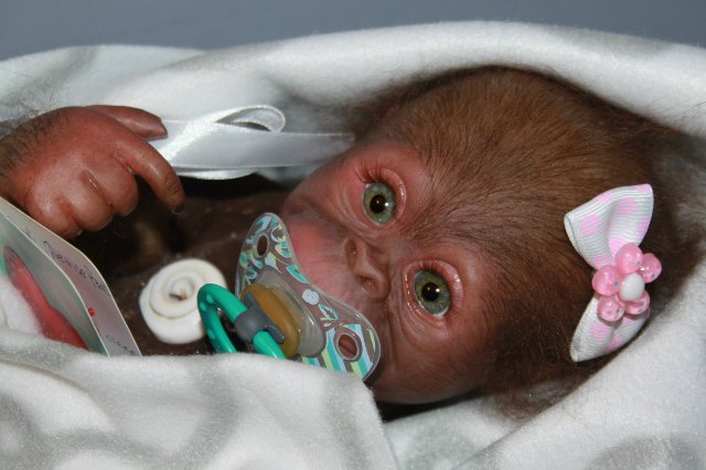 Бонька, обезьянка реборн Элины Кудрявцевой