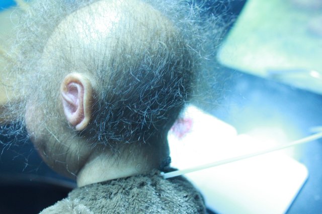 Бонька, обезьянка реборн Элины Кудрявцевой