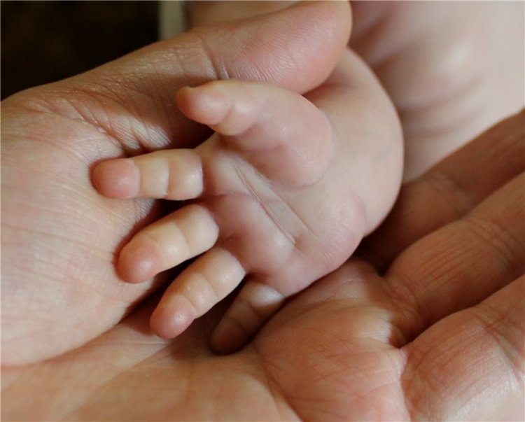 Луковка-2 Куклы реборн Елены Иваховой