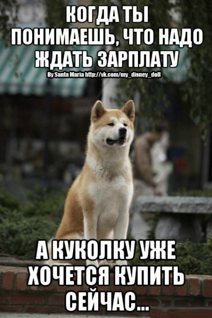 Смешные картинки о коллекционировании кукол (фото 7)