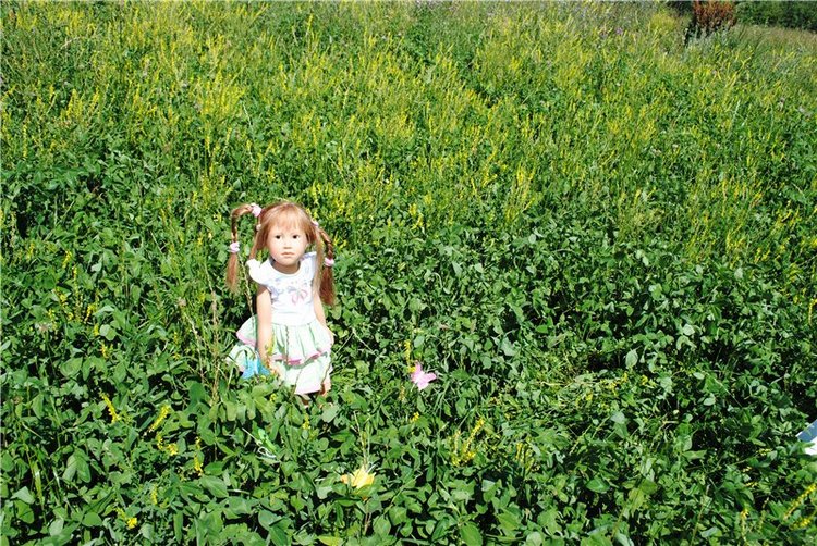 Летняя прогулка милой девочки Паулы Heidi Plusczok (фото 6)