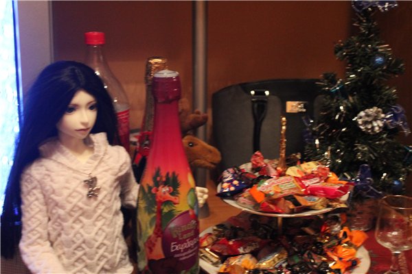 Новый Год 2016 для меня и Мишеля. Запоздалый отчет