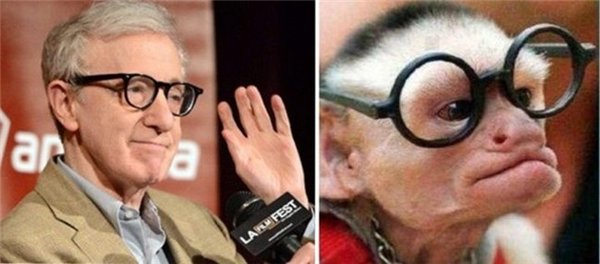 Забавно! Для поднятия настроения