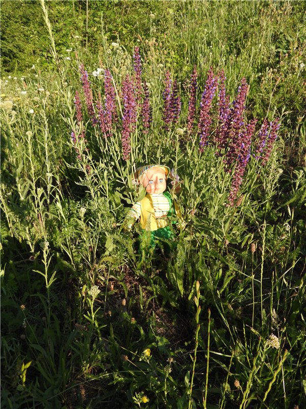 Любителям маленьких кукол