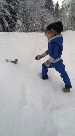 Прогулка в заснеженный лес с Морисом