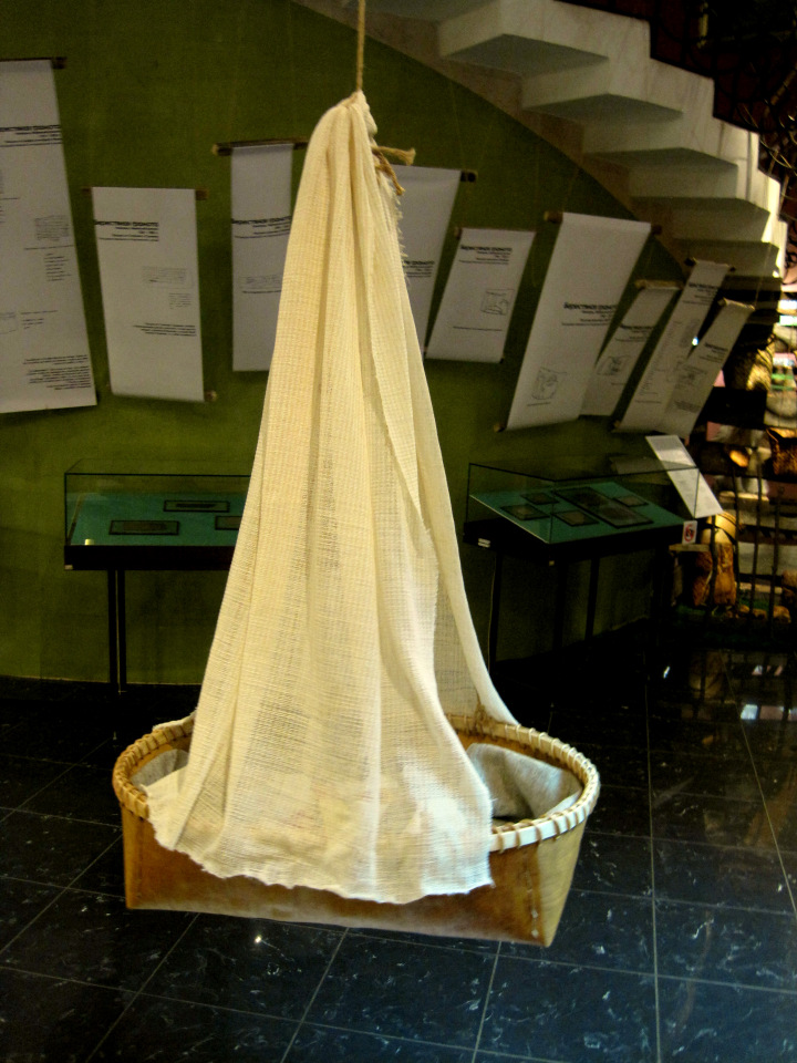 День в музее. Анжела в Государственном Дарвиновском музее