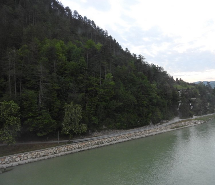 Любителям птиц. Серая цапля Словении (фото 4)