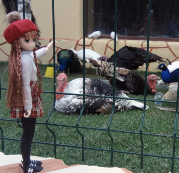 Тинка в экопарке — Куклы и тела Obitsu (Обитсу): 1/6 (фото 9)