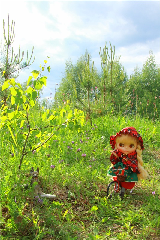Путешествие в Сказку — Оригинальные куклы Blythe (Блайз): Takara