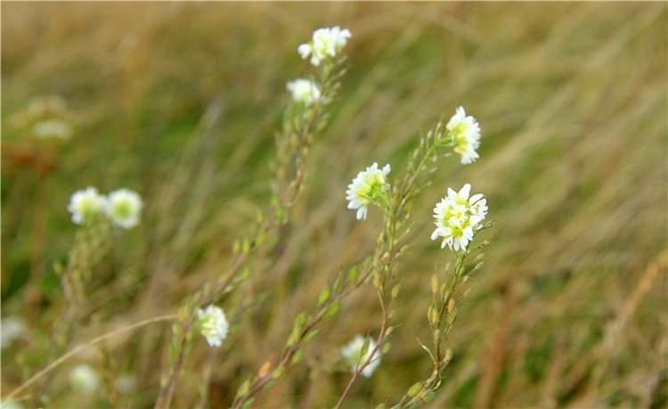 Тверской Водопад — Туризм и путешествия: фотоотчеты из поездок