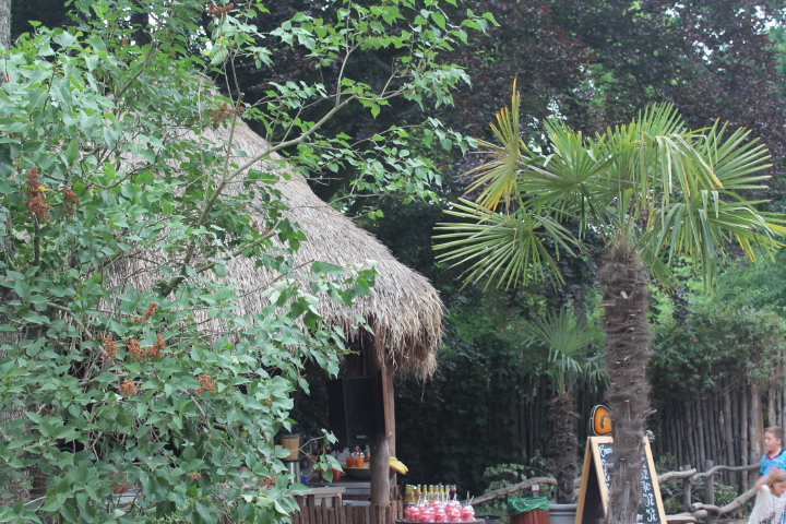 По Германии: зоопарк Лейпцига, часть 3