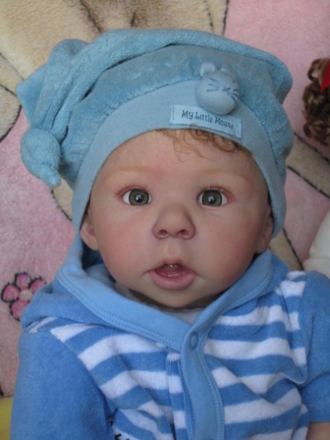 У нас появились новенькие