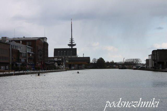 Выставка TeddyBar Total 2012 в Мюнстере: возрожденная из небытия