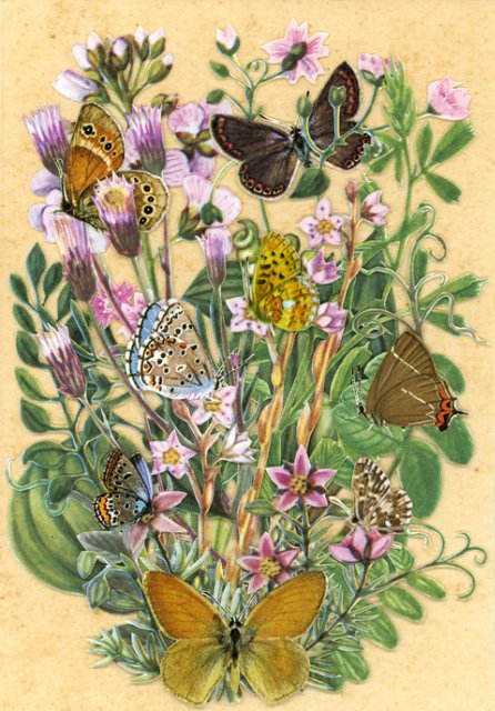 Викторианские куклы Сейко Като (Seiko Kato dolls)