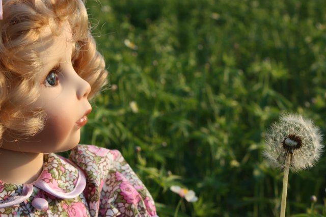 Девочка одуванчик. Leonie, Hildegard Gunzel (фото 9)