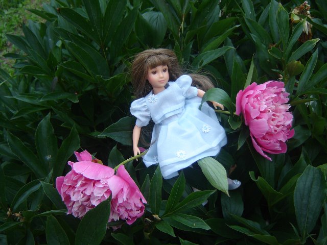 Кати от Family Company's | Бэйбики Кати от Family Company's — Коллекционные куклы разных авторов (Разное): редкие бренды (фото 5)