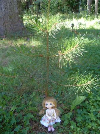 Моя первая шарнирная куколка