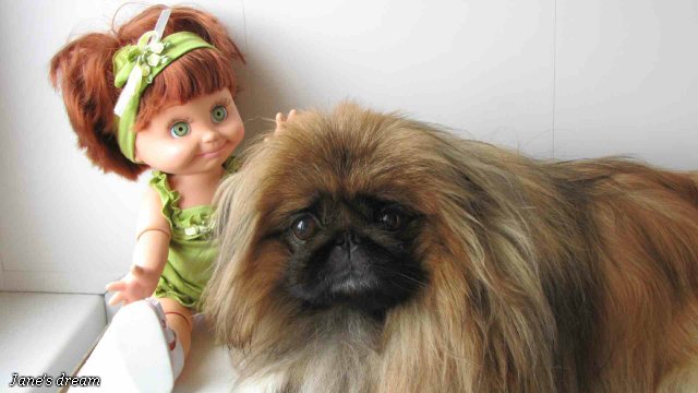 Прекрасные Феи Цветов. Galoob - Baby Face, часть 1