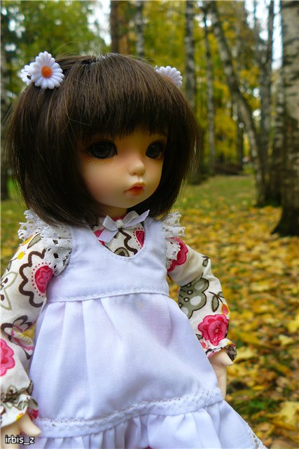 Вот так погуляли или Как у нас появилась кукла БЖД LittleFee Ante Elf