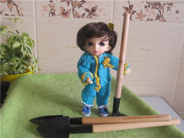 "Мастер-класс" по посадке огорода (фото 7)