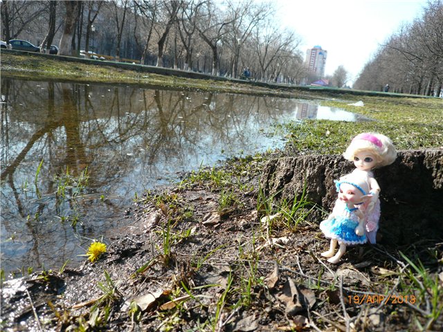 Сосенка и Тосенька — Разные куклы BJD (БЖД): редкие бренды (фото 10)