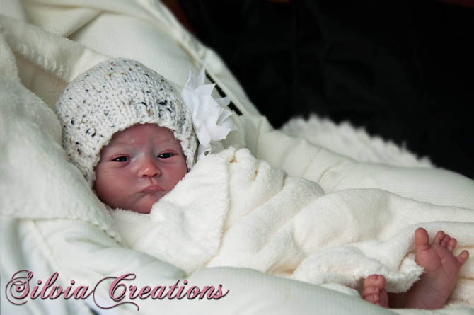 Новый молд Will от Натали Шолль