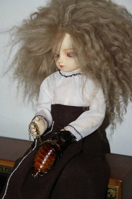 БЖД-Встреча за Полярным Кругом! Конкурс костюмов посвященных Хеллуину (фото 2)