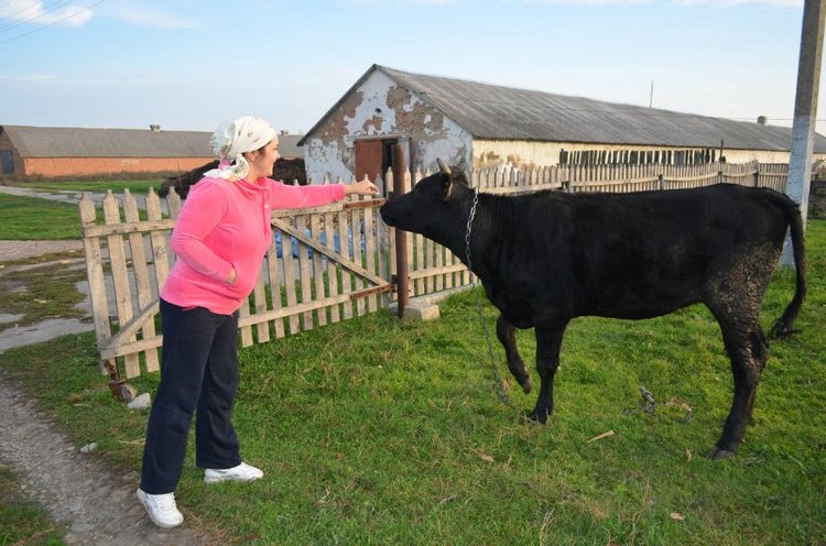 Моя поездка на выставку "VI Международный салон Модна лялька" Киев | Бэйбики Моя поездка на выставку "VI Международный салон Модна лялька" Киев