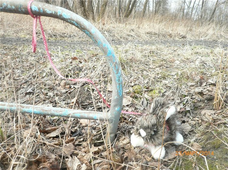 Предпраздничное настроение (фото 5)