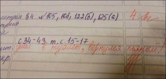 О веселом! Шедевры школьных дневников) Осторожно! очень смешно)