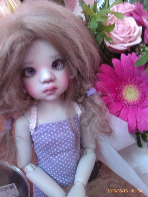 Моя новая звездочка - Лайла. Ну и вся банда вместе