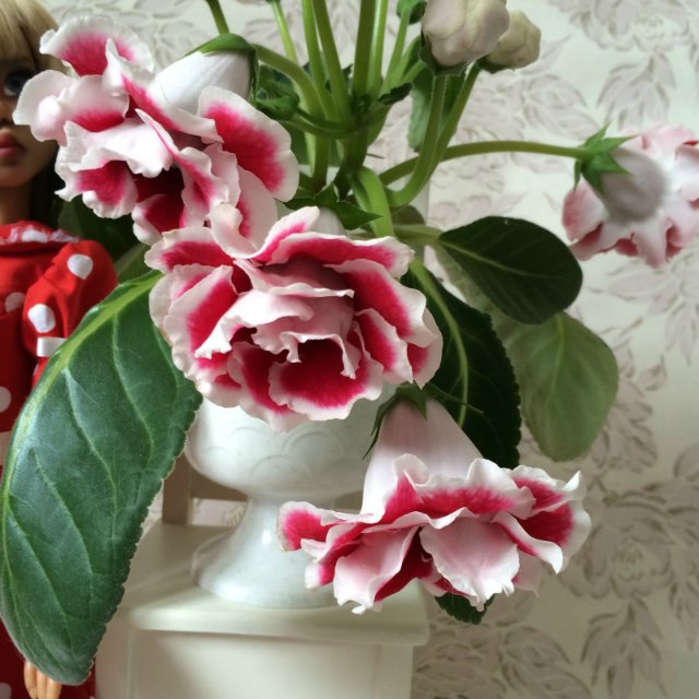 Нисса от Kaye Wiggs и её друзья (фото 9)