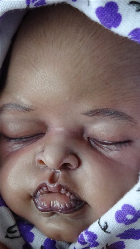 Эмили-Роуз. Авторская кукла Кондрашовой Ирины (фото 3)