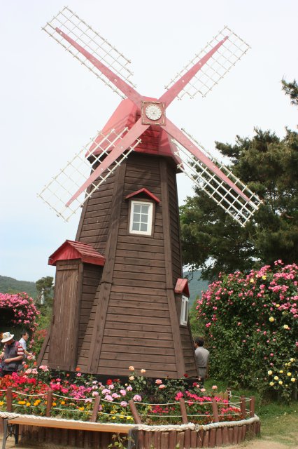 Выставка роз в Сеуле — Туризм и путешествия: фотоотчеты из поездок