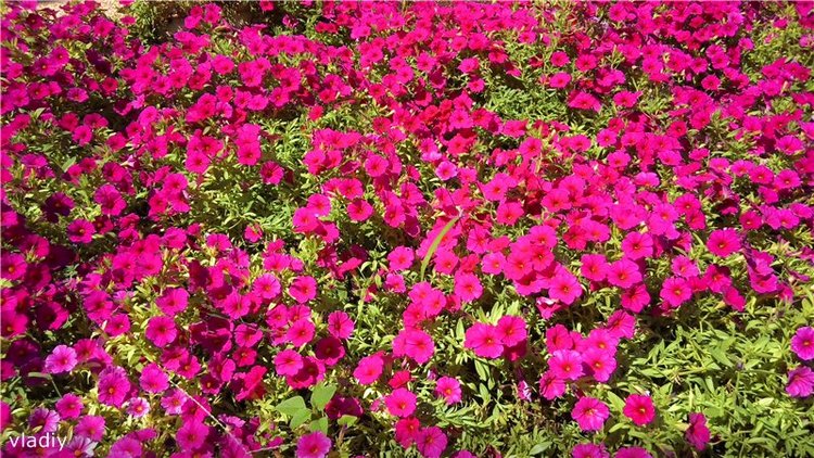 Сборы Стеши на Море. Продолжение