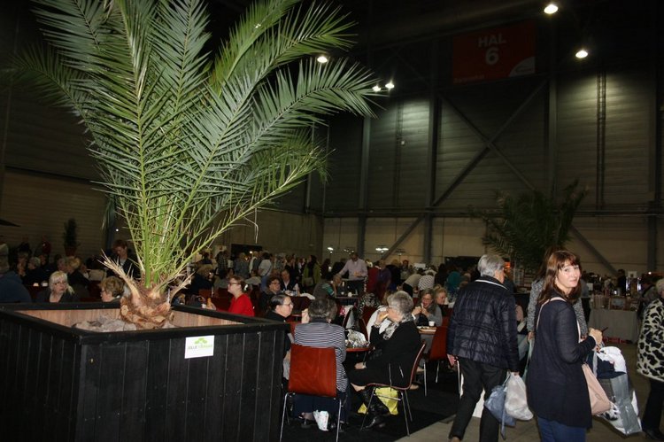 Выставка кукол, мишек тедди, кукольных домиков и миниатюры в Нидерландах. Заключение