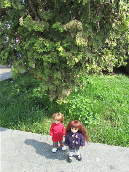 Наша традиционная майская прогулка по Московскому зоопарку