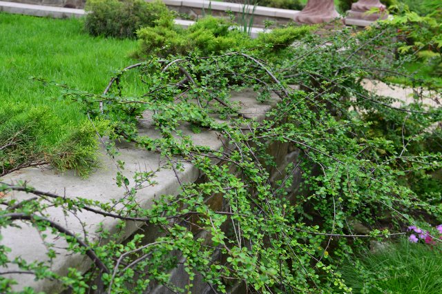 Старый парк — Туризм и путешествия: фотоотчеты из поездок